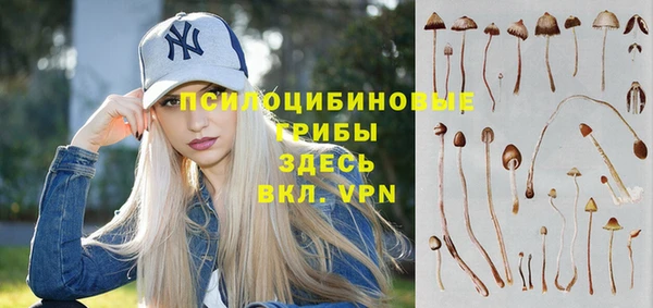 хмурый Осташков