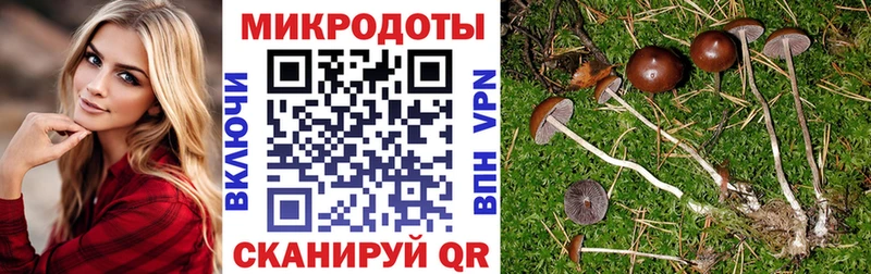 Купить закладки  Кондопога  Псилоцибиновые грибы прущие грибы 
